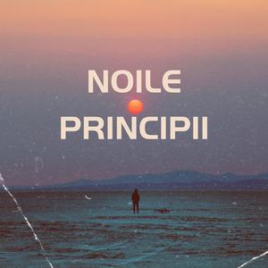 Noile principii