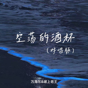 空荡的酒杯 (对唱版)