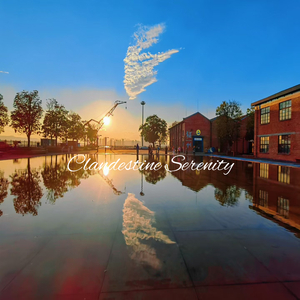 Clandestine Serenity