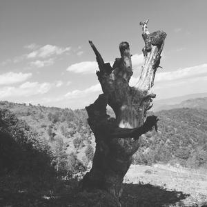 时间流逝，你我只能继续装聋作哑