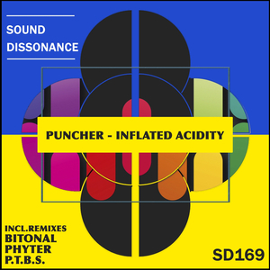 Inflated Acidity (Original Mix)