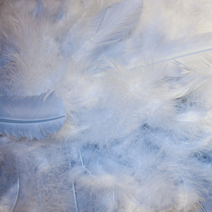 Neight Fictive (Jonathan Snipes of clipping Remix)