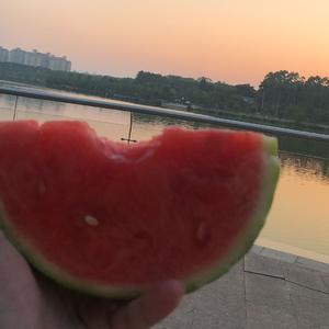 根本你不懂得爱我（胖猫再见）