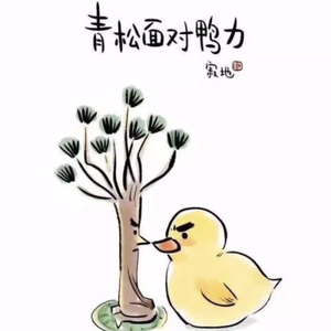 追寻（开头广告请忽略）