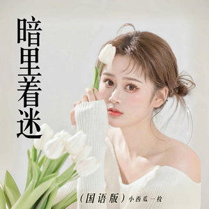 暗里着迷 (国语版)