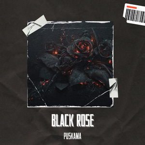 Black rose