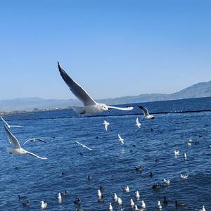 逆向漂流瓶