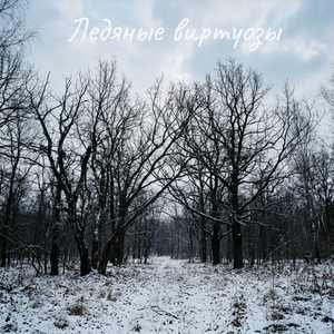 Ледяные виртуозы