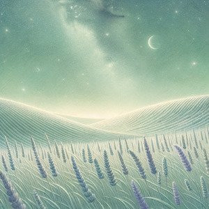 やさしい眠りの波 - ヒーリングミュージック 睡眠BGM リラックス