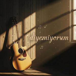Diyemiyorum