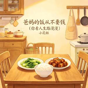 爸妈的饭从不要钱(你看人生路漫漫)
