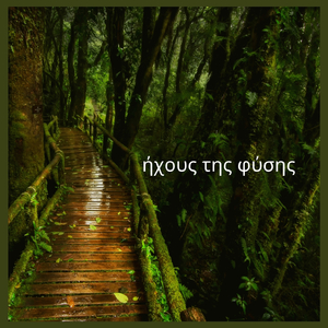 Ο Ήχος της Βροχής (51)