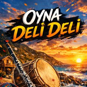 Oyna Deli Deli
