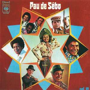 São João no palhoção