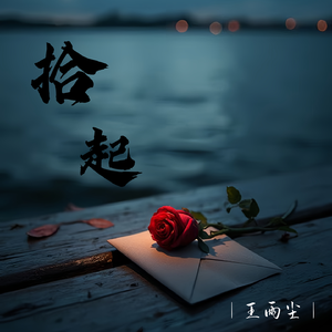 拾起-王雨尘