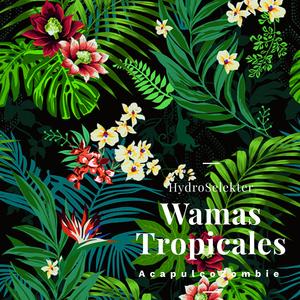 Wamas Tropicales (feat. Acapulco Zombie)