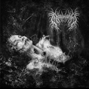 My Kitchen Gives Mad Silent Hill Vibes