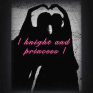 Knight and Princess