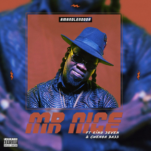 Amandlendoda (feat. King Seven & Cwenga Bass)