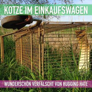 Die Nacht zu Totensonntag (hugging hate Remix 'Toter Sonntag')