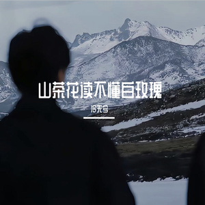 山茶花读不懂白玫瑰