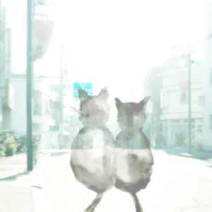 maybe in a way, i will never feel the same as i did with you