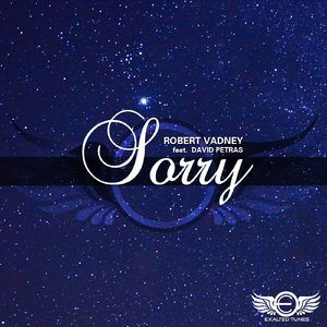 Sorry (Ehsun Remix)
