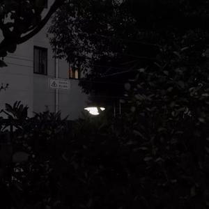 爷的心禁止访问✩˚*•̩̩͙ʚ