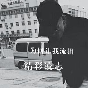 精彩凌志-为何让我流泪（精彩凌志 remix）
