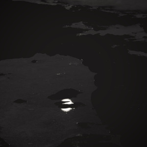 从没在梦里见过你