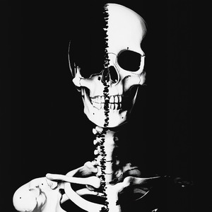 O MAIS BRABO (Slowed)