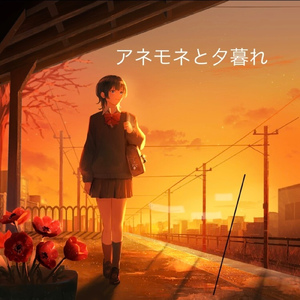 アネモネと夕暮れ