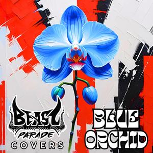 Blue Orchid