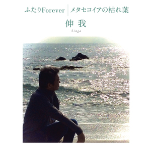 メタセコイアの枯れ葉 (Cover) [Karaoke]