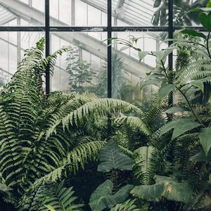 Circling the Drain (feat. Suggs)