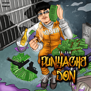 Punyache Don