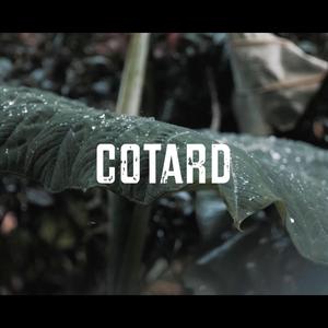 Cotard