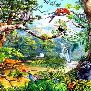 丛林舞曲（实验音乐）