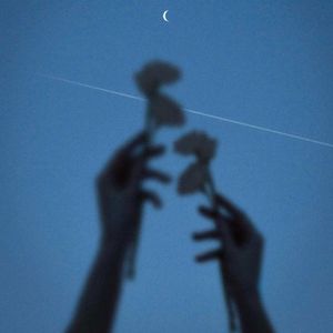 时光里的我们-游不动的小绿