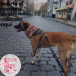 Inserte el nombre de su mascota aquí