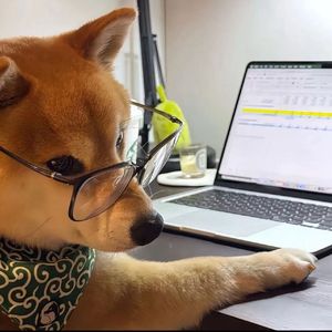 tung tung sahur（强仔专属)