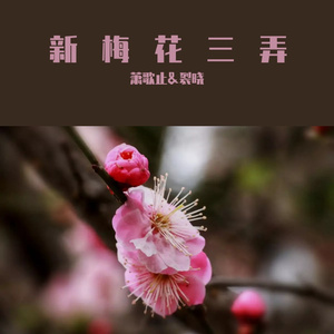 新梅花三弄