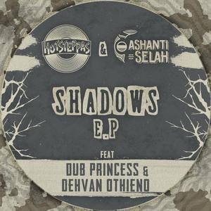Shadows (ickle's Dub Mix) (feat. ickle. & Dub Princess)