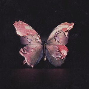 我在春天等你.wav