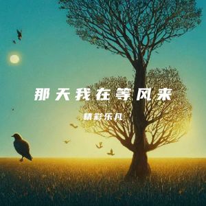那天我在等风来