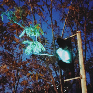 《街道 枫叶 星空》.wav