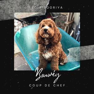 bouwéy (Coup de chef)