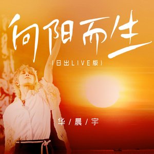 向阳而生钢琴版.wav