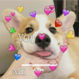 ♡（prod by ZS Beatz）