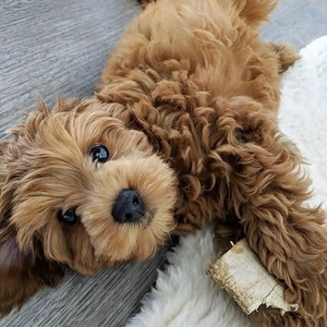 Love Letter (sped up)